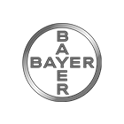 la mia cucina gastronomia cursos bayer