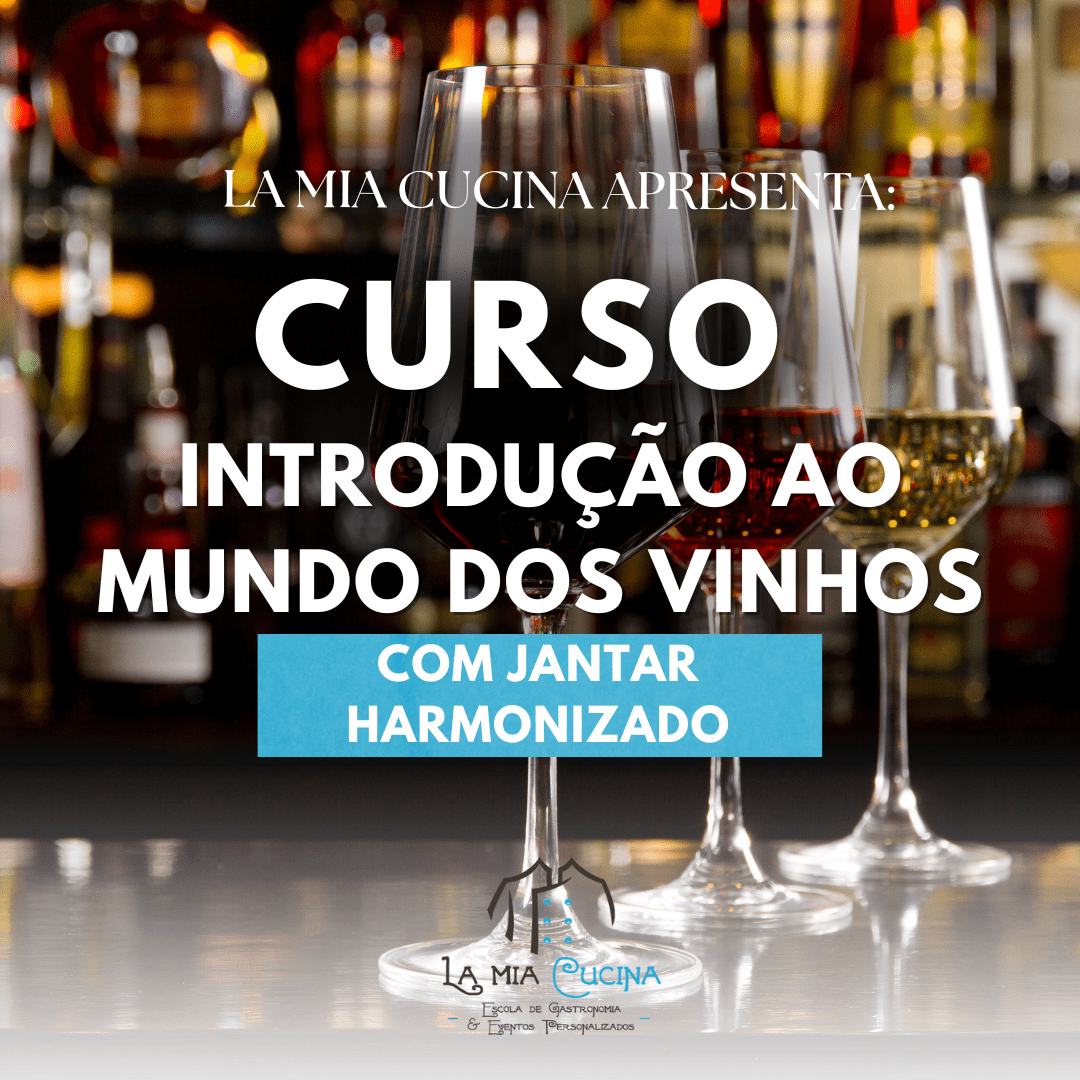 la mia cucina cursos de gastronomia curso introducao ao mundo dos vinhso
